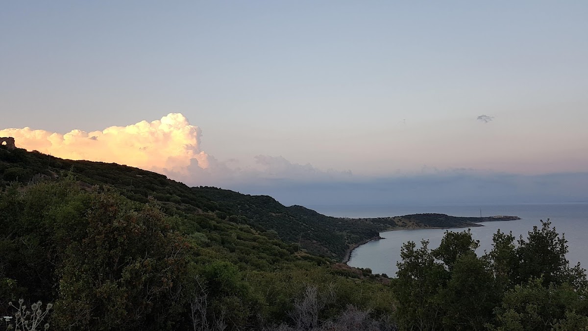 Behram — Asos Liman Restaurant - Behram Çanakkale Lezzet Noktası — galeri