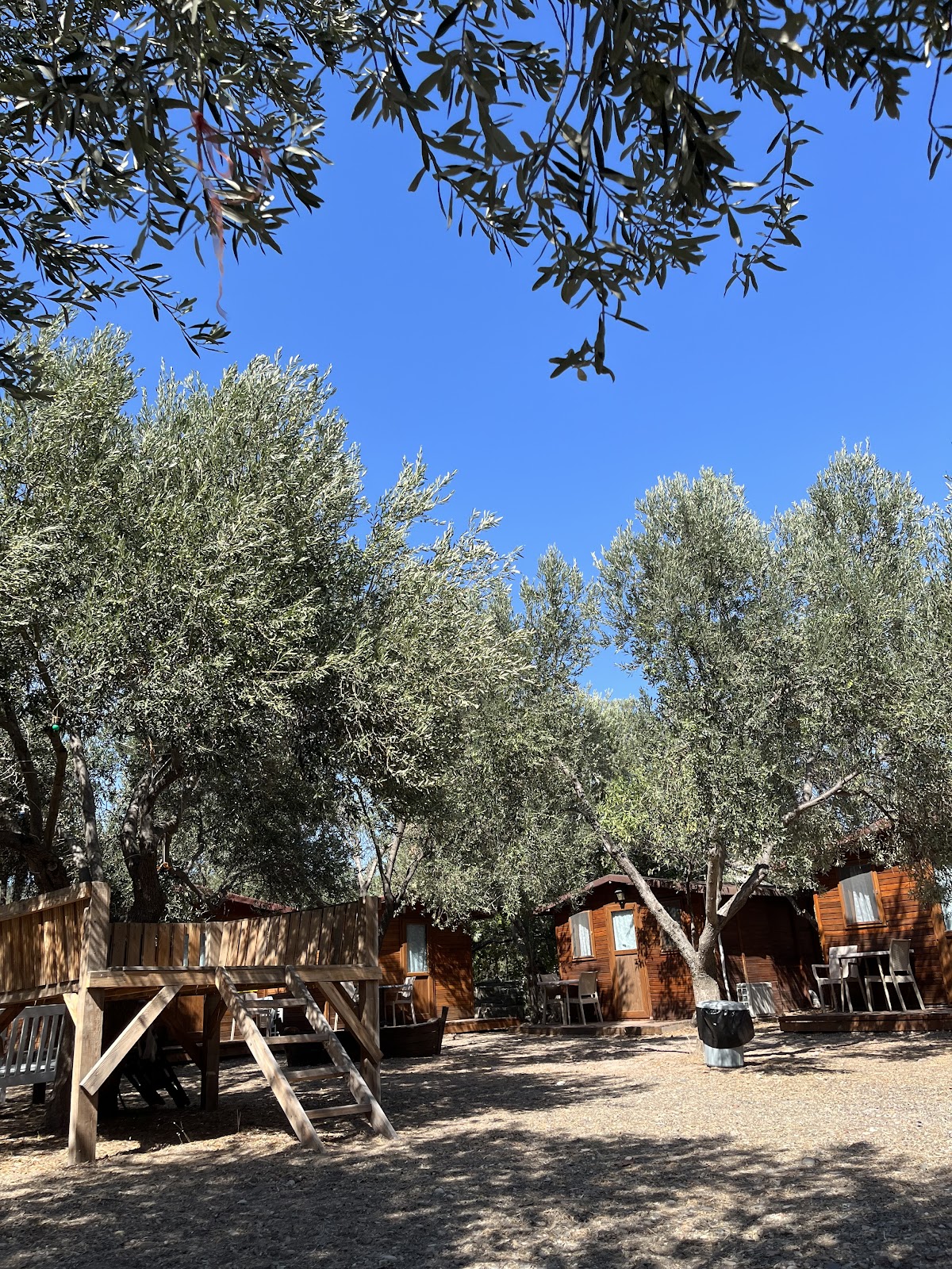 Behram — Duha Assos Restoran - Behram Çanakkale Lezzet Durakları — galeri