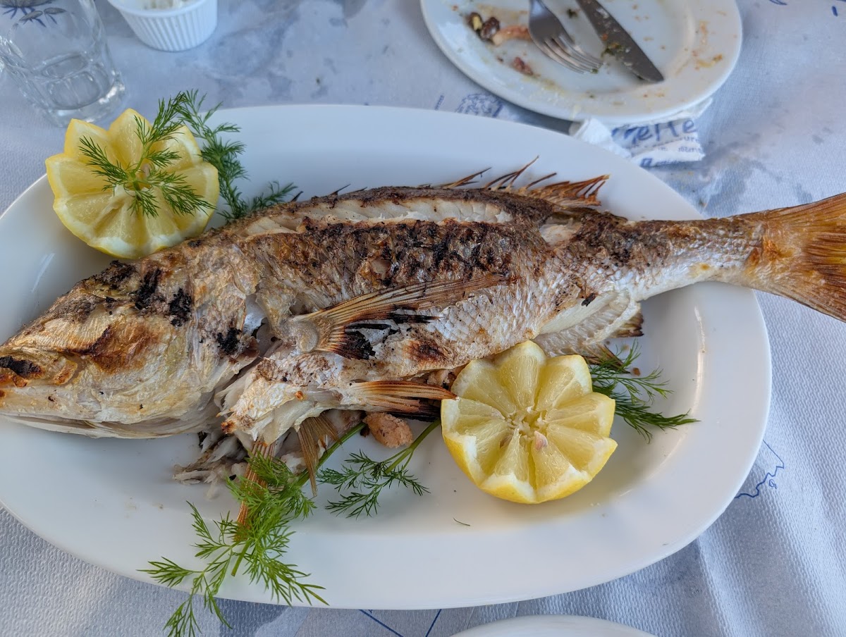 Chios Island — Meltemaki — gallery