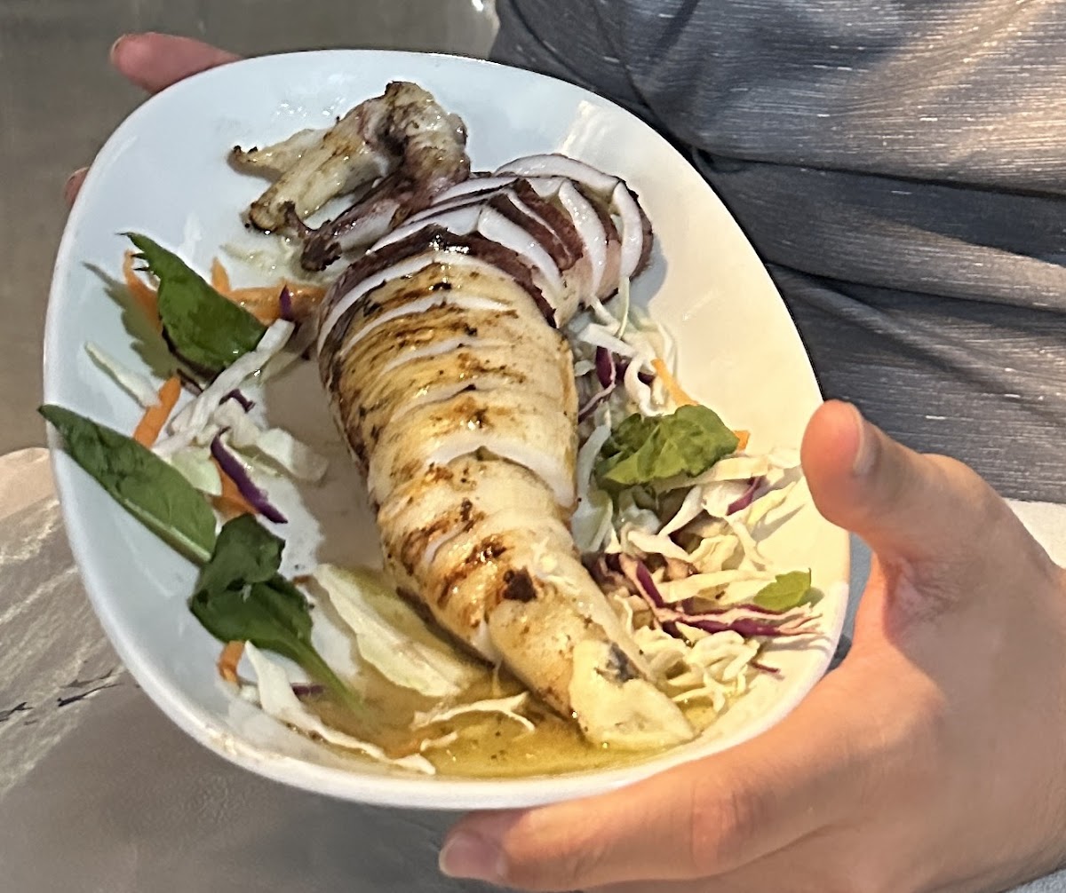 Chios Island — Meltemaki — gallery