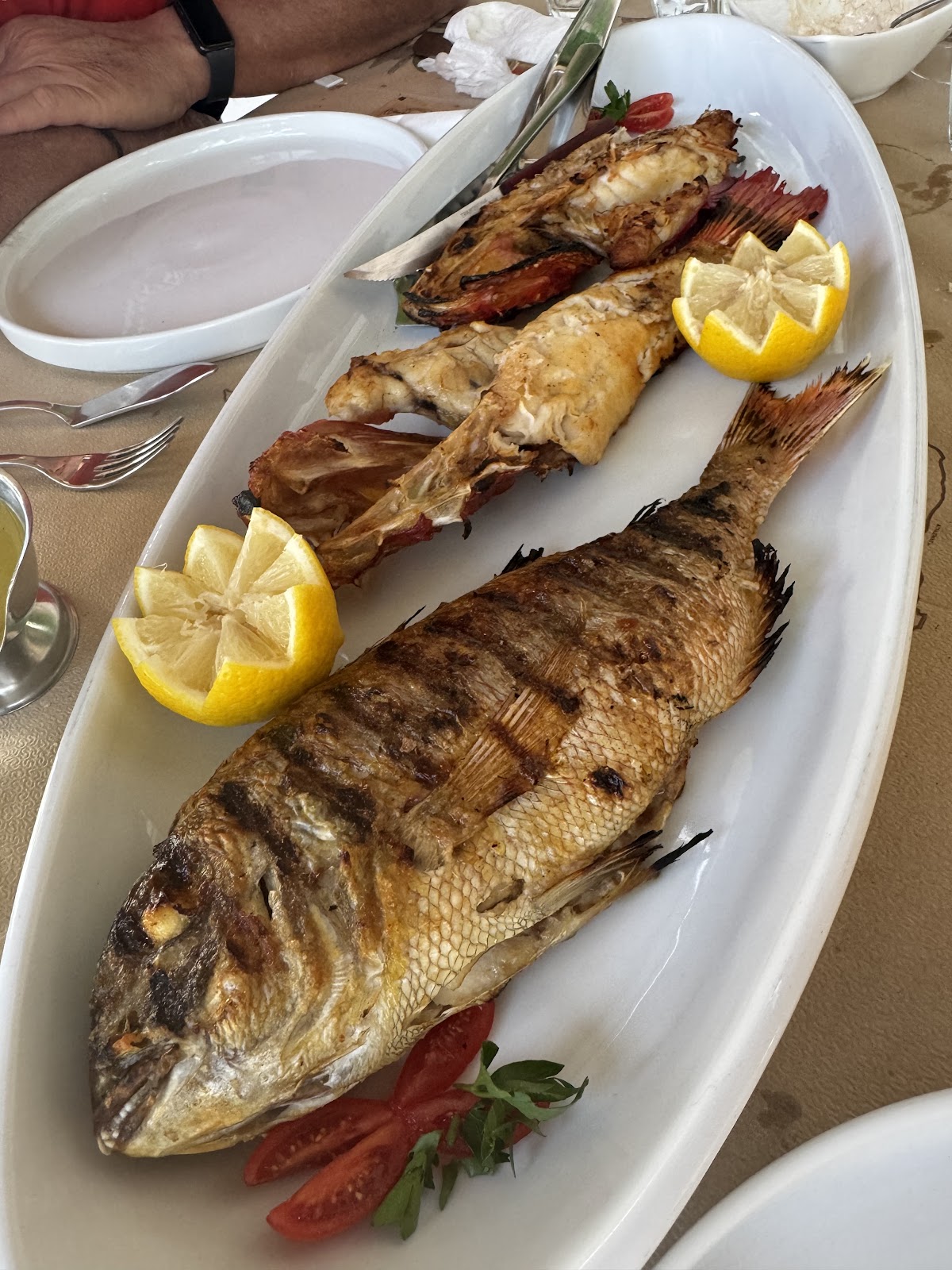Chios Island — Restaurant Cafe Agia Markella — galeri