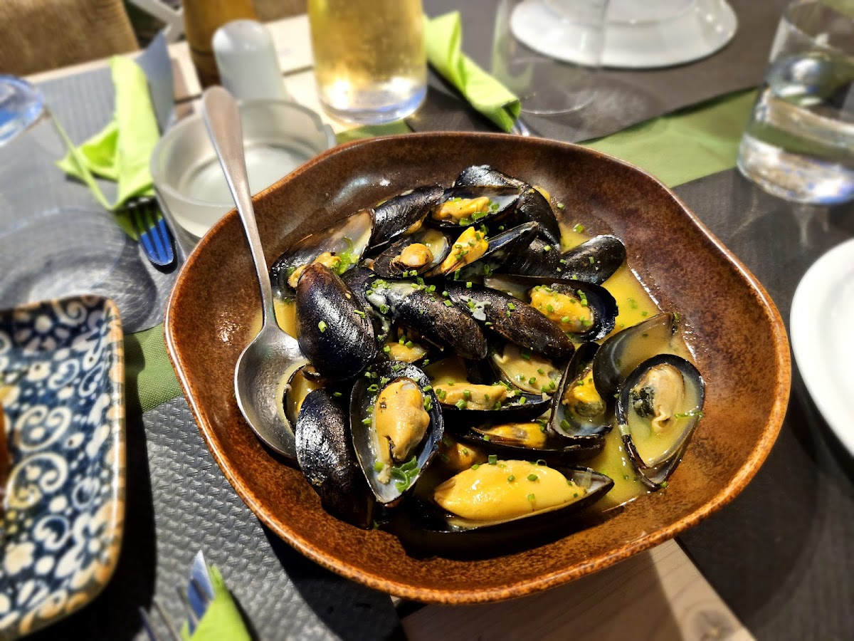Samos — Elia Restaurant — galeri