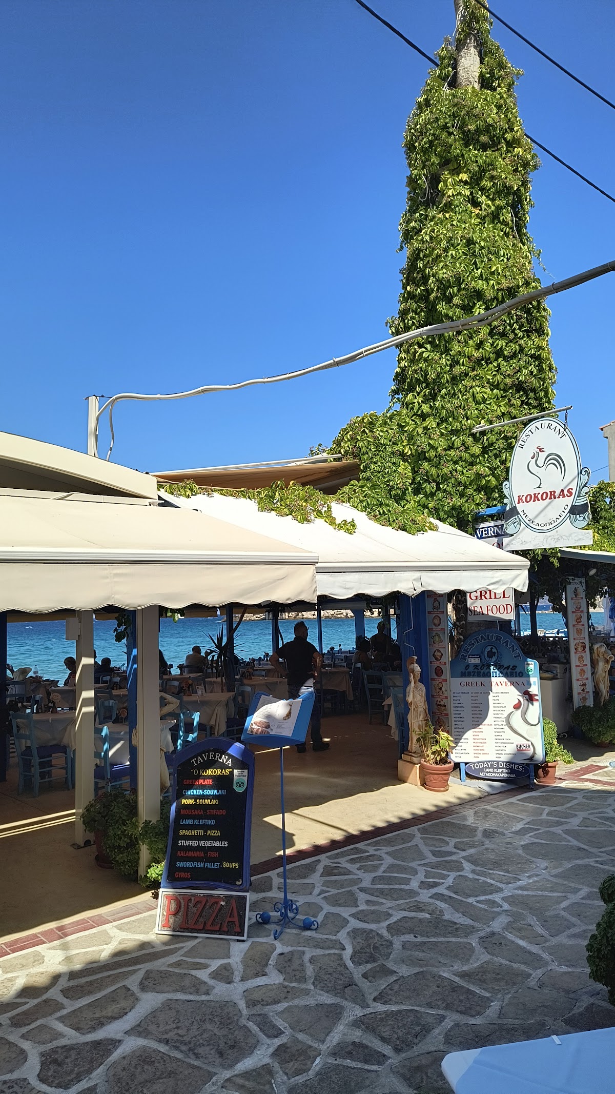 Samos — Kokoras Taverna Restaurant Samos — galeri