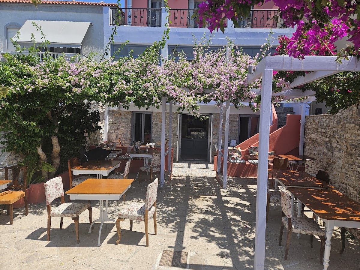 Samos — Fyllo Fyllo — galeri