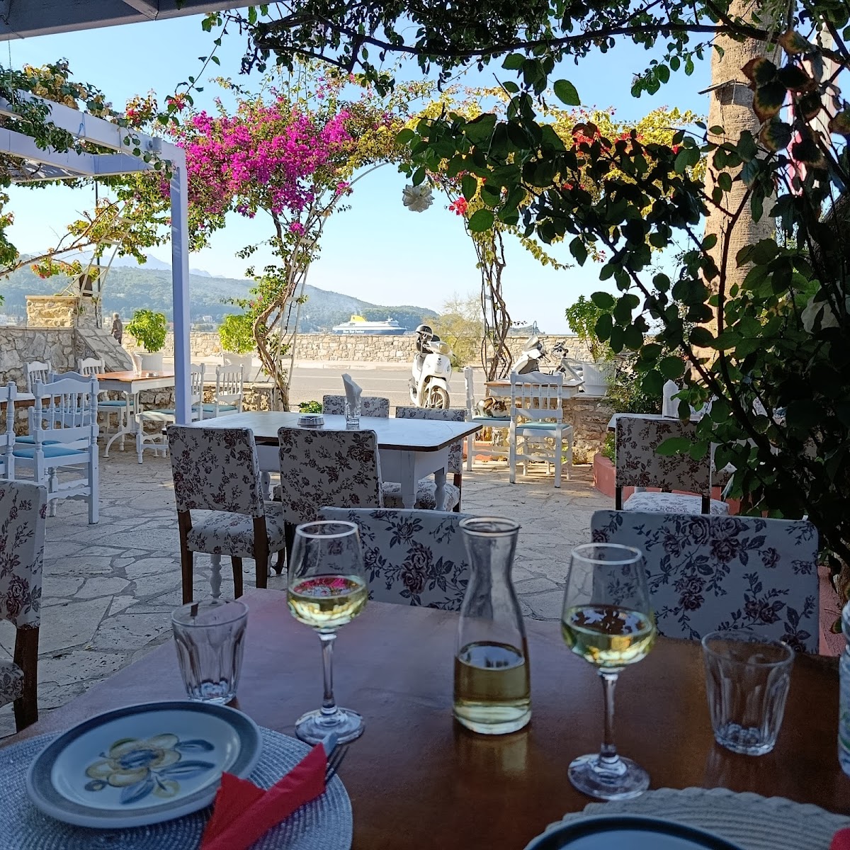 Samos — Fyllo Fyllo — galeri