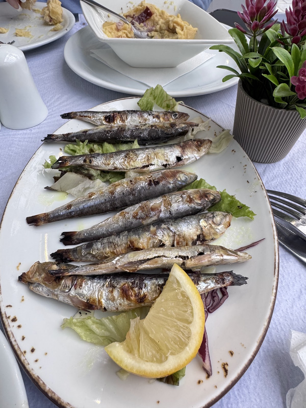 Santorini — Santorini Restaurant — galeri
