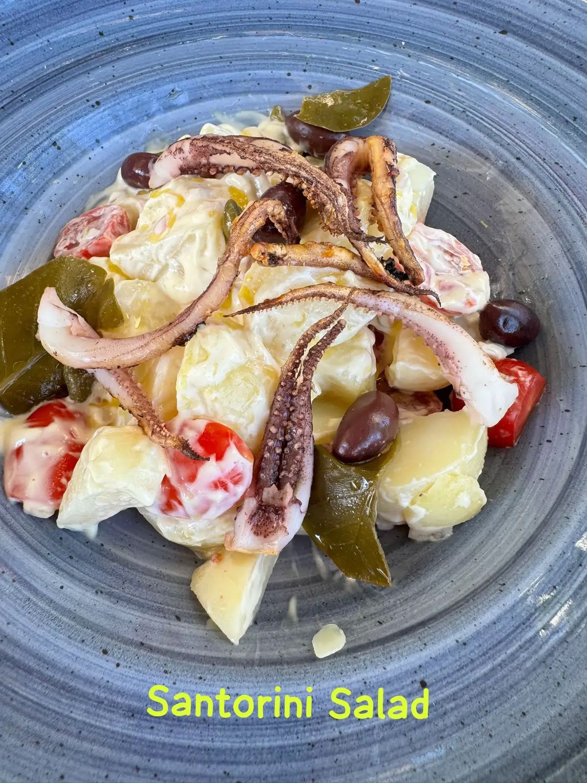 Santorini — Santorini Restaurant — galeri