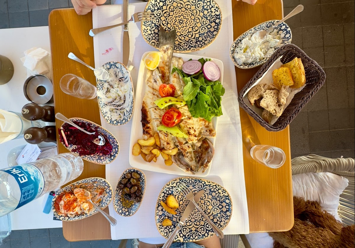 Fethiye — Zoi Fish Restaurant — gallery