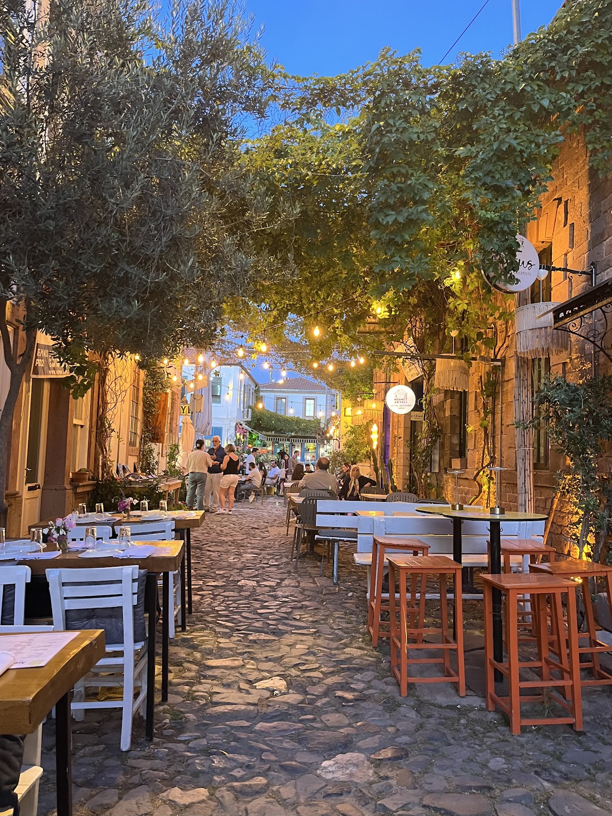 Cunda — Kucuk Yer Semali — galeri