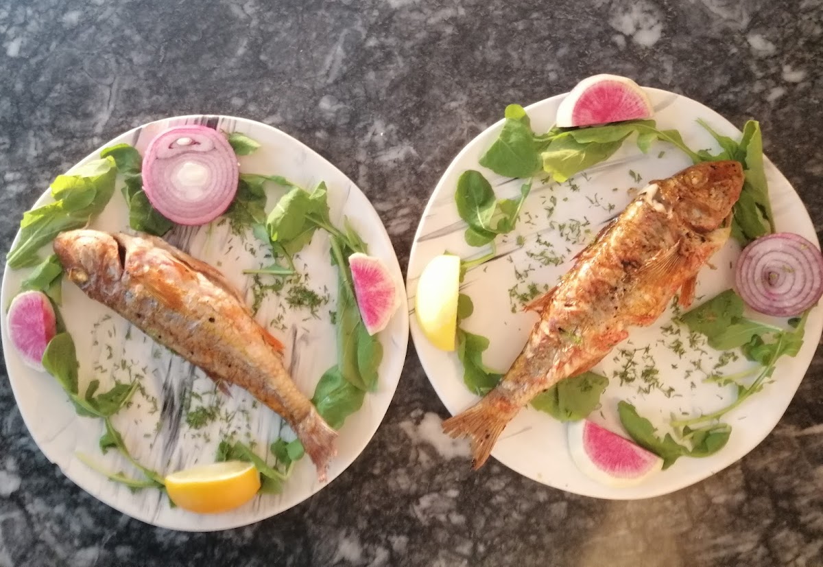 Cunda — Sayfiye Cunda — galeri