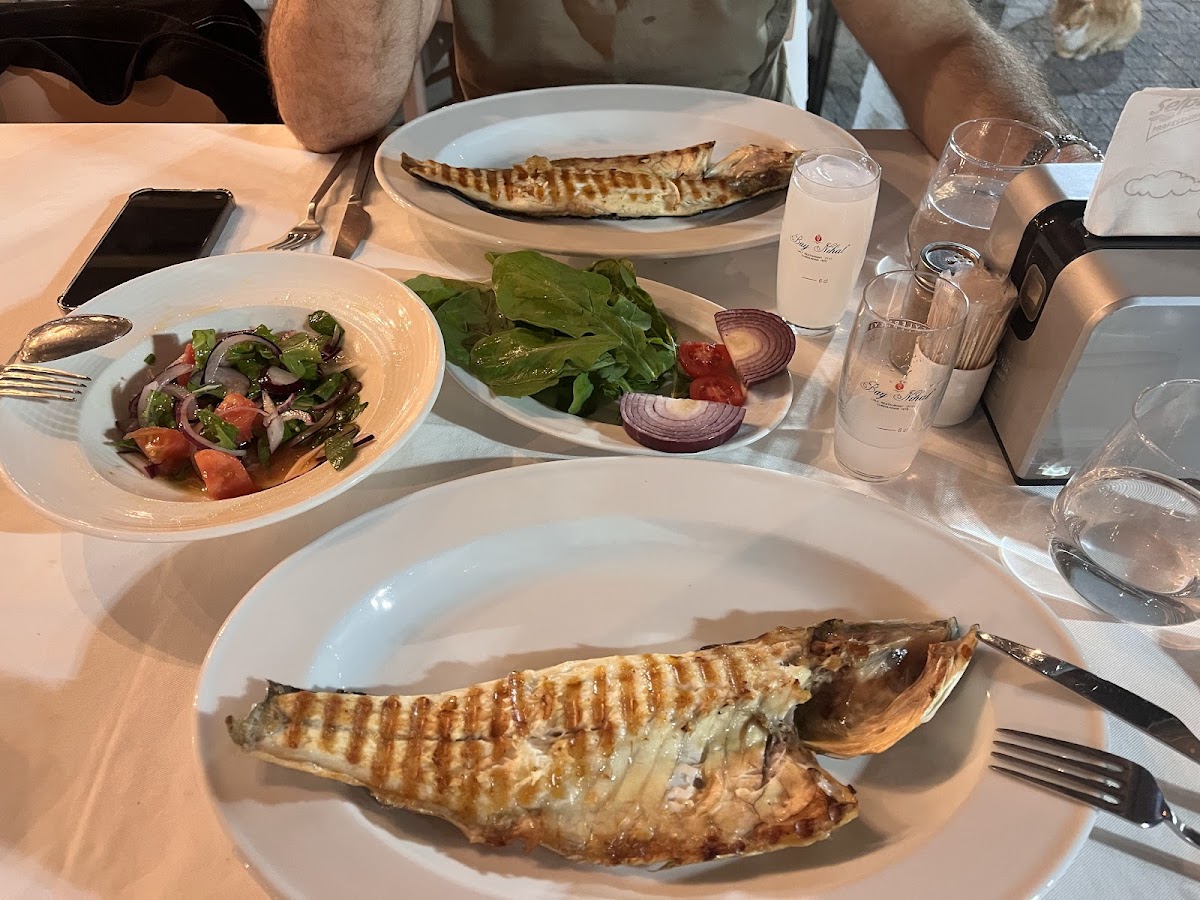 Cunda — Bay Nihat — galeri