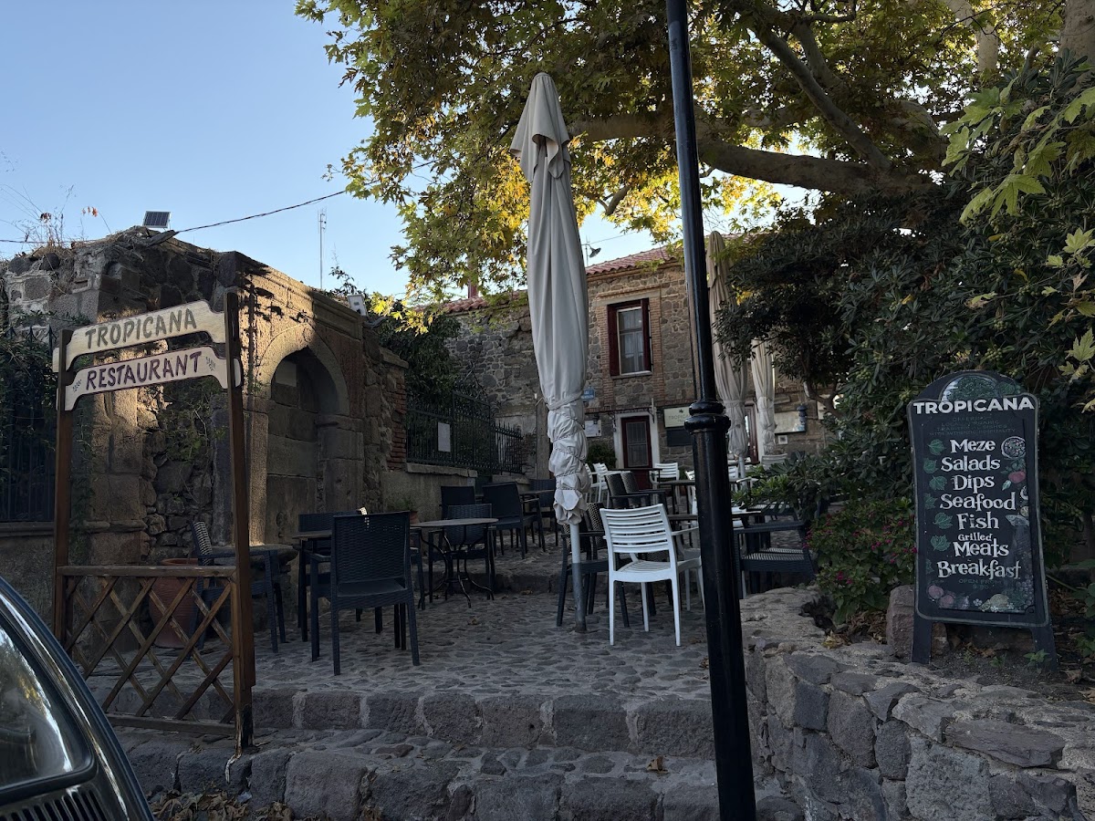 Lesvos — Tropicana Platanos — gallery