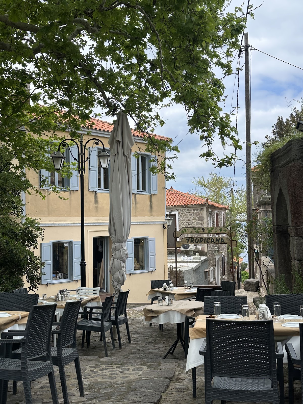 Lesvos — Tropicana Platanos — gallery