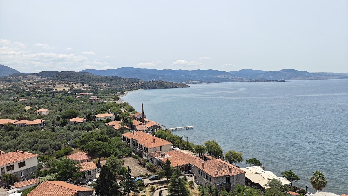 Lesvos — Gatos Restaurant — gallery
