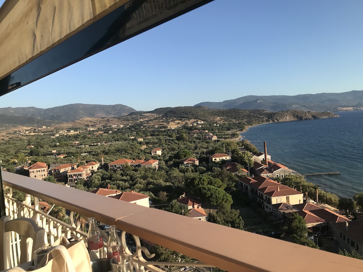 Lesvos — Gatos Restaurant — gallery