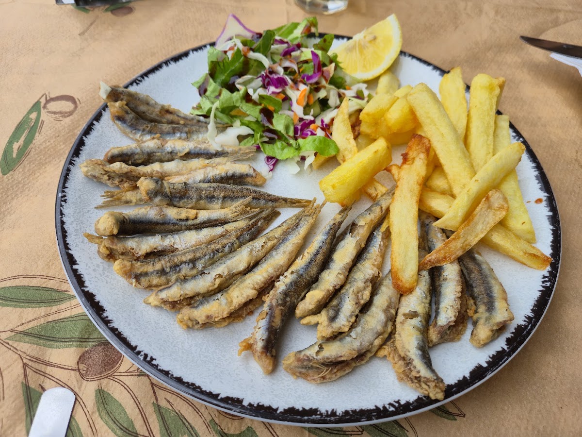 Lesvos — Yalo Yalo — gallery