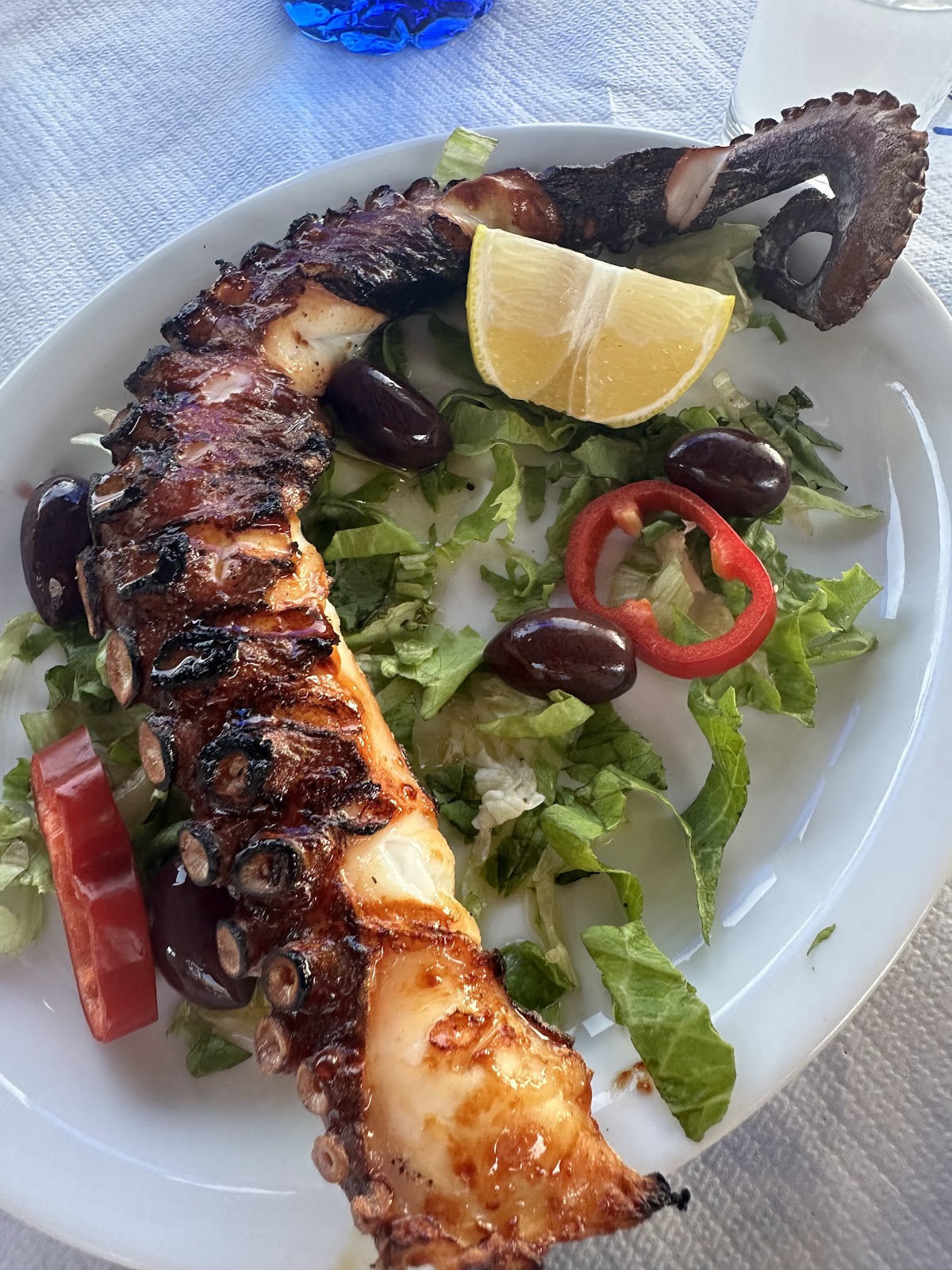 Lesvos — Seven Seas Taverna — gallery