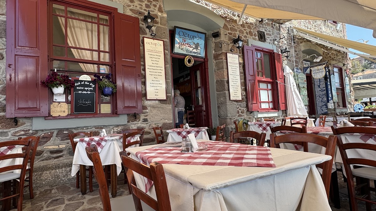 Lesvos — The Octopus Restaurant — gallery