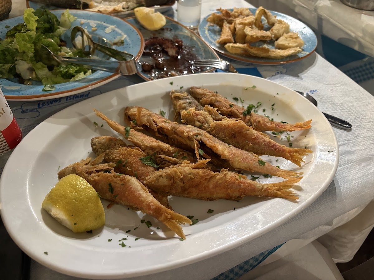 Lesvos — Le Grand Bleu — gallery