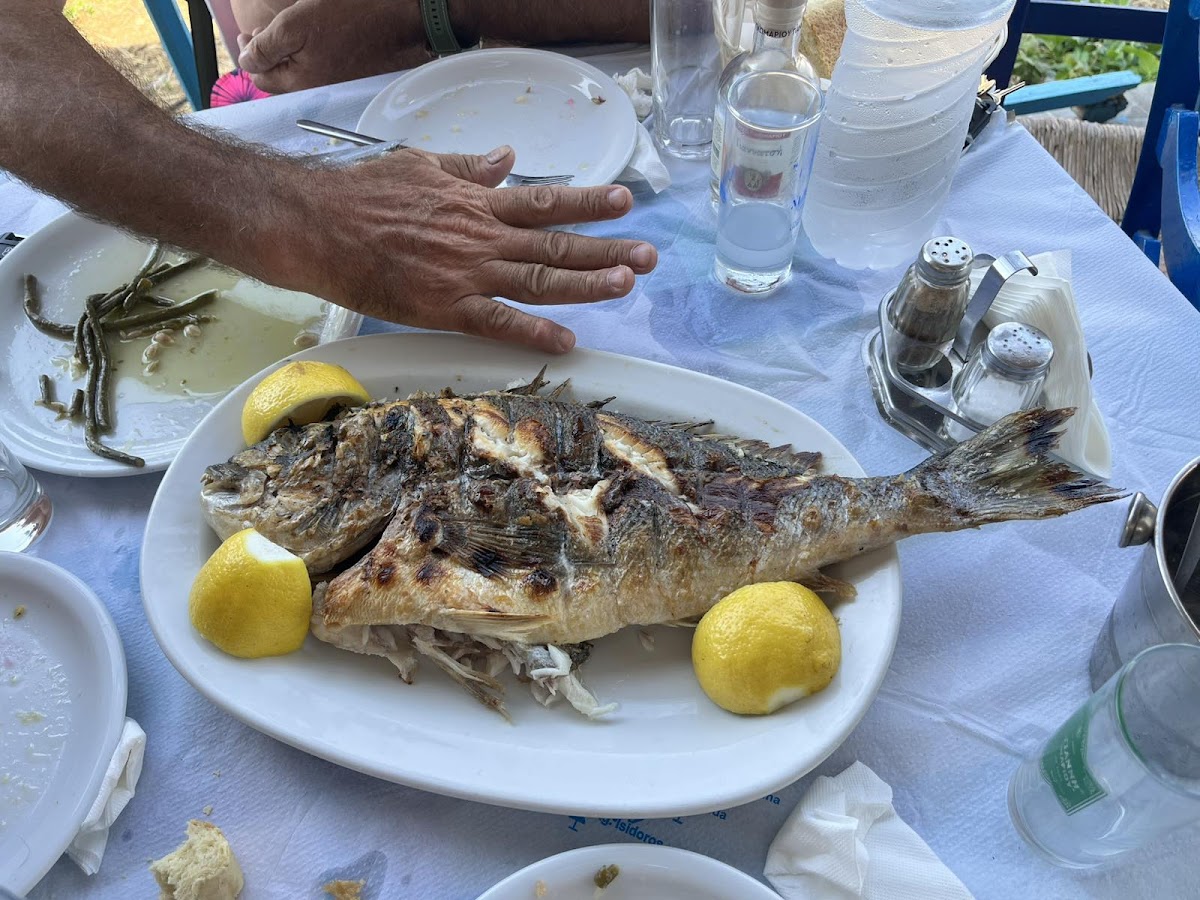 Lesvos — Moutsos Fish Taverna — gallery