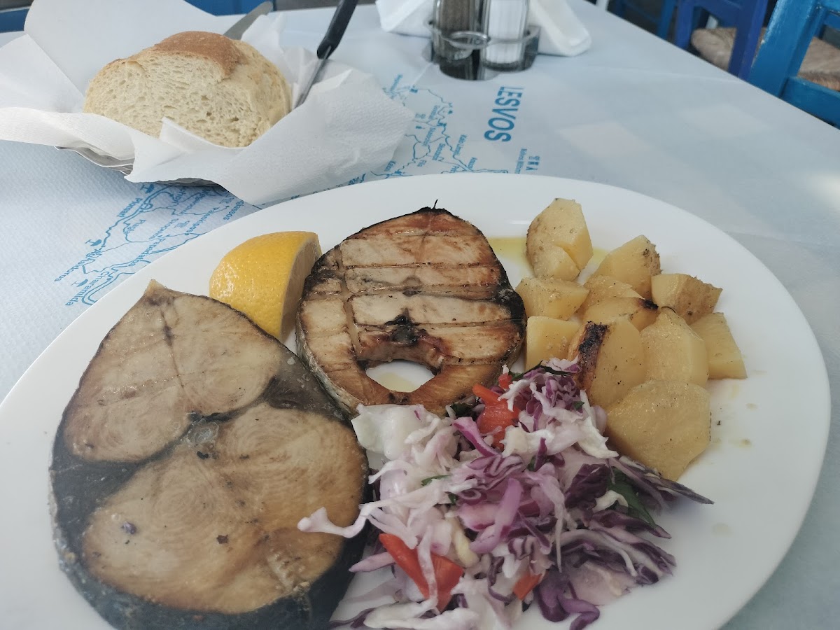 Lesvos — Moutsos Fish Taverna — gallery