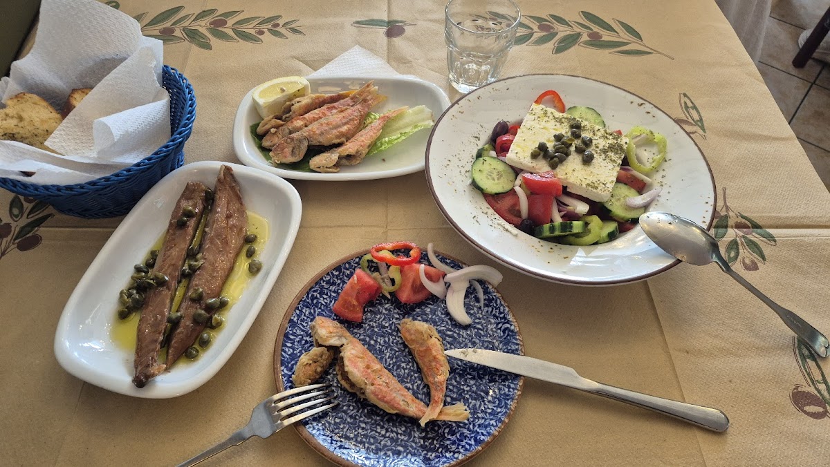 Chios Island — To Sokaki Chios Greek Tavern 2 — galeri