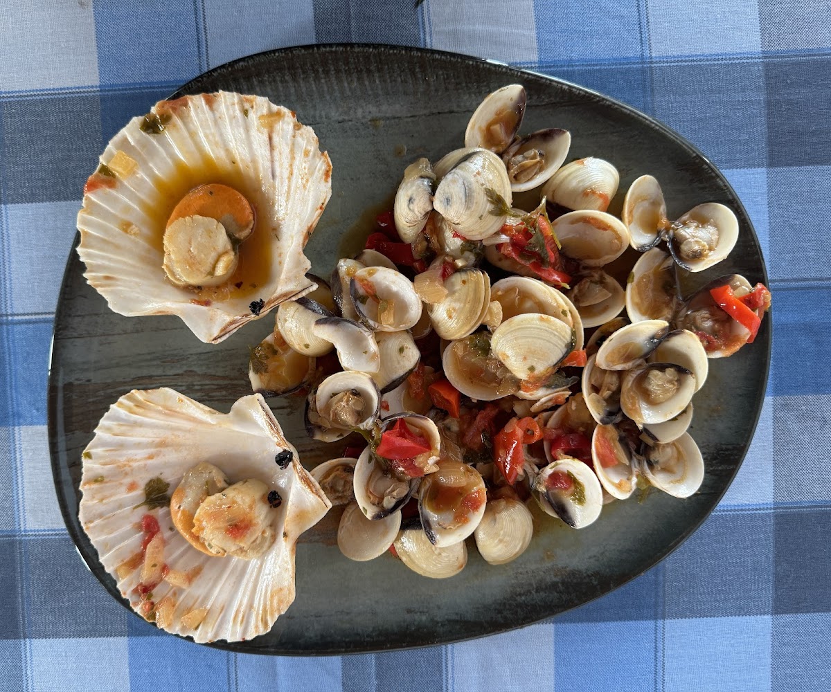 Samos — Restaurant Orion Samos — galeri