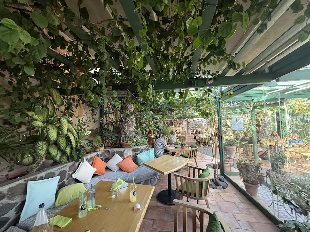 Santorini — Pelican Kipos Cafe And Wine Restaurant — galeri