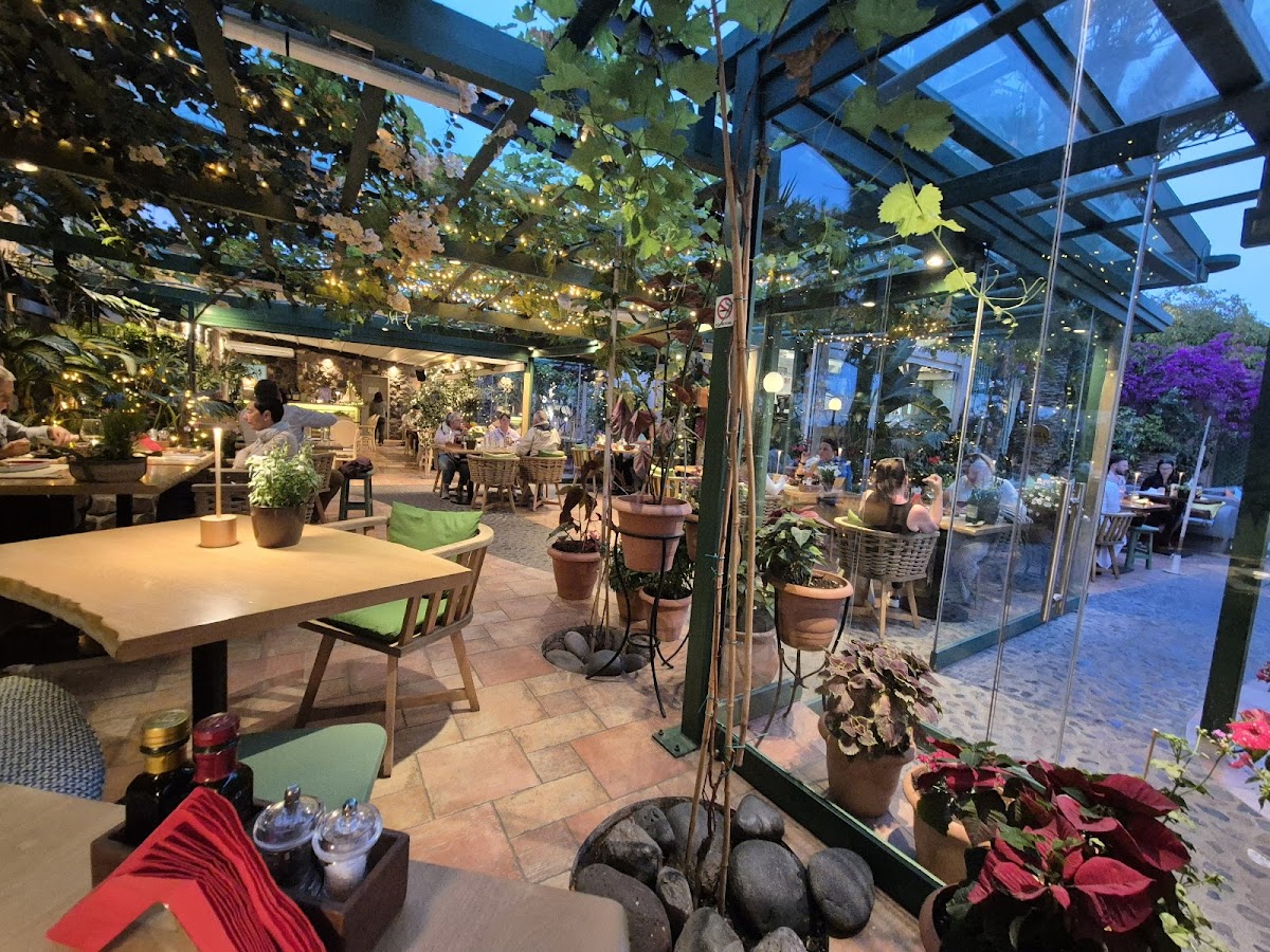 Santorini — Pelican Kipos Cafe And Wine Restaurant — galeri