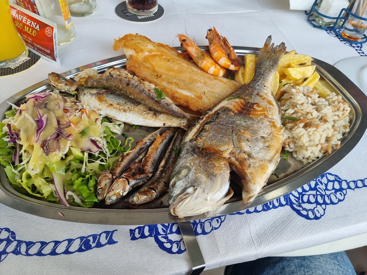 Kos Island — Taverna Romeo — gallery