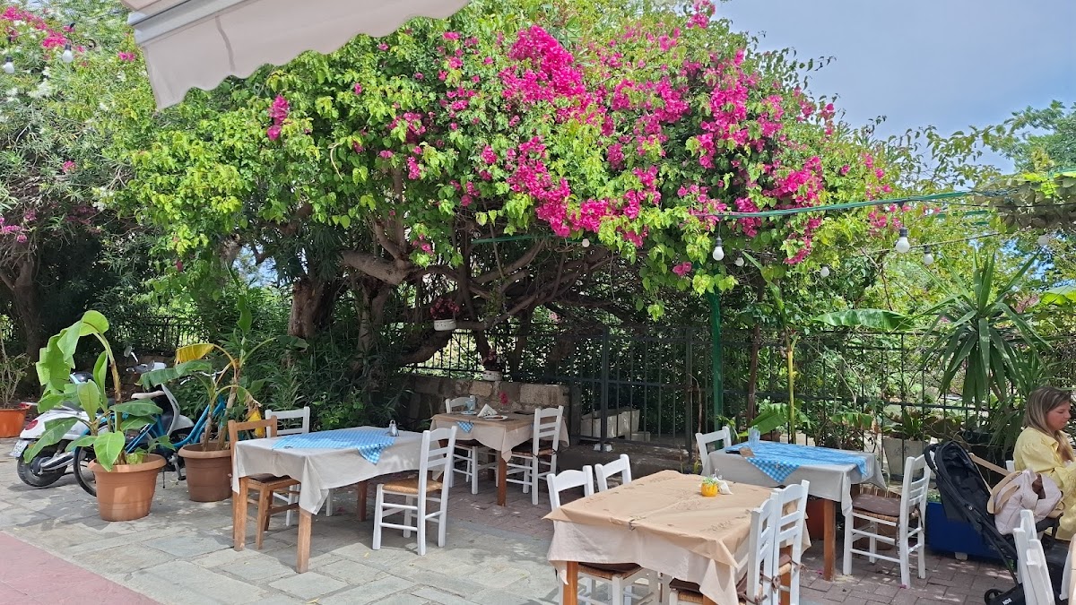 Kos Island — Mom S Kitchen — gallery