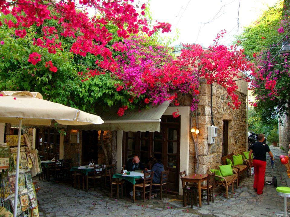 Kos Island — Elia — gallery