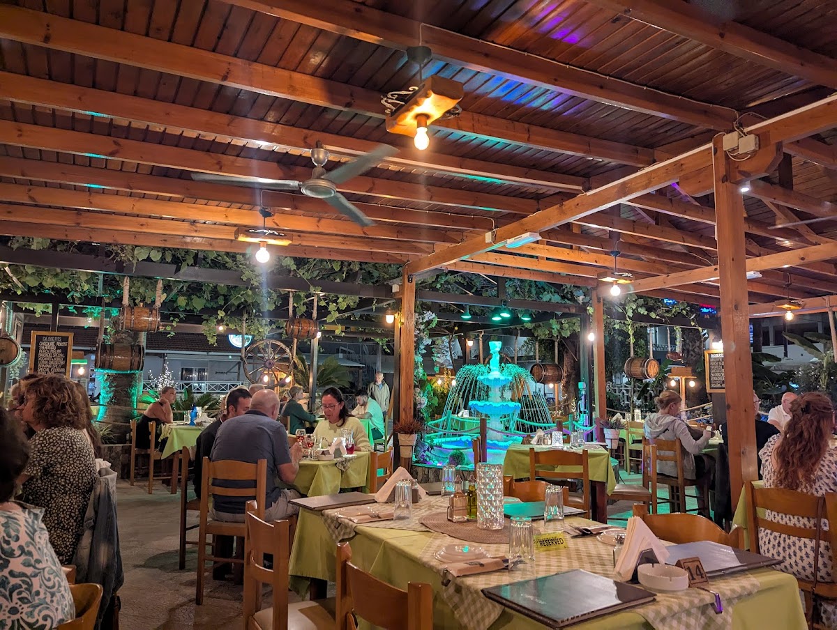 Kos Island — Sunset Taverna — galeri