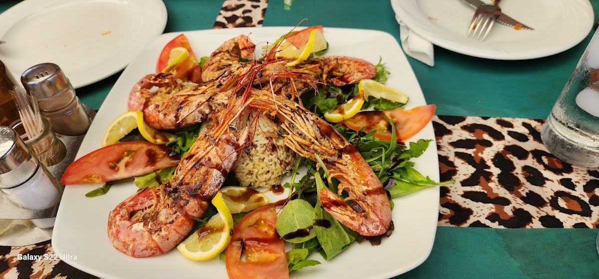 Kos Island — Tarzan Beach Restaurant Bar — gallery