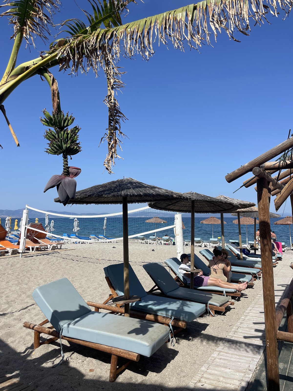 Kos Island — Tarzan Beach Restaurant Bar — gallery