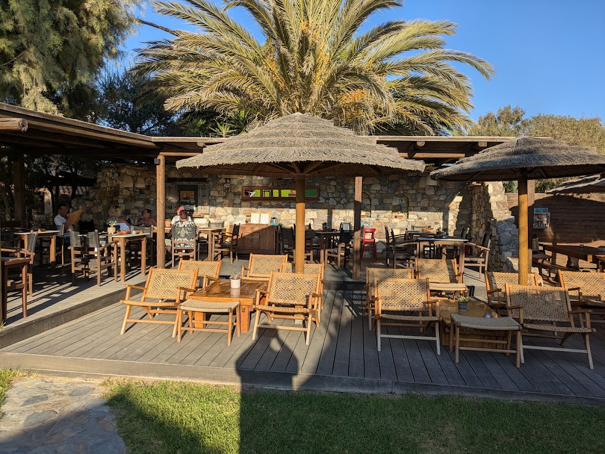 Kos Island — Tam Tam — galeri
