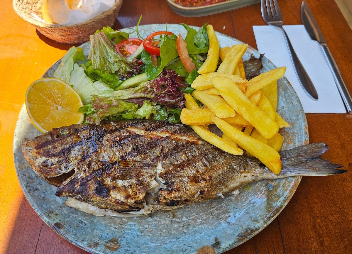 Marmaris — Gusta Bar Grill — gallery