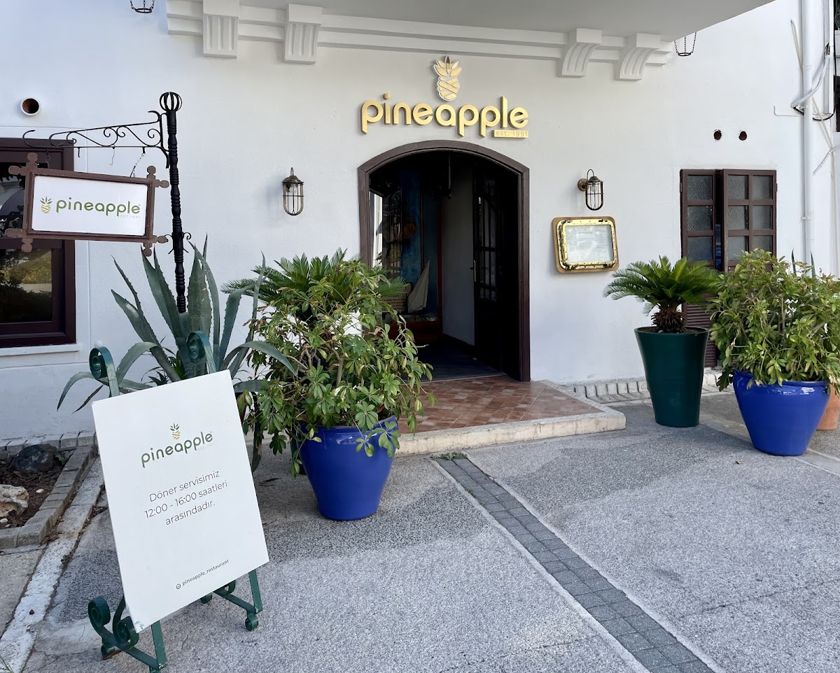 Marmaris — Pineapple Restaurant — gallery