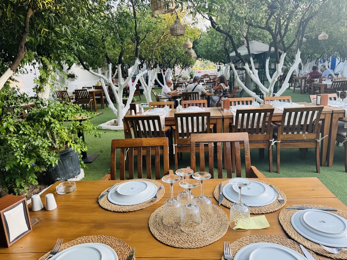 Bodrum — Sultan Bahce Restaurant — gallery