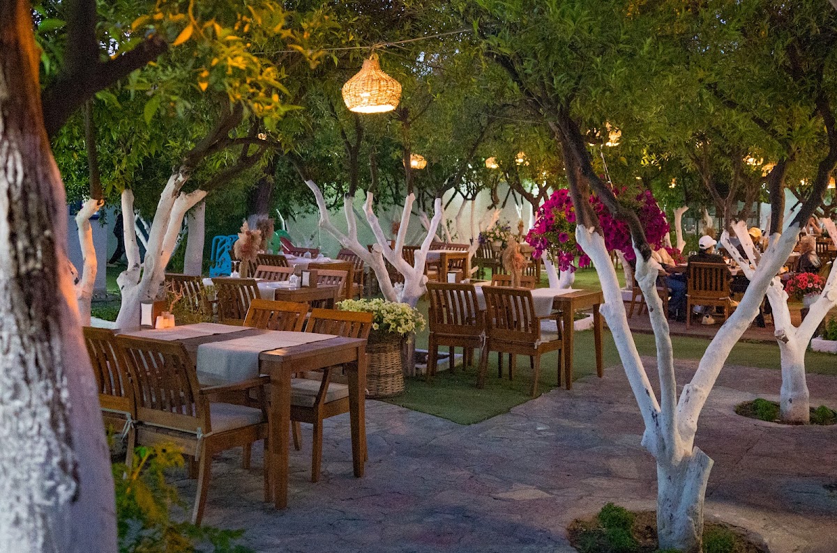 Bodrum — Sultan Bahce Restaurant — gallery