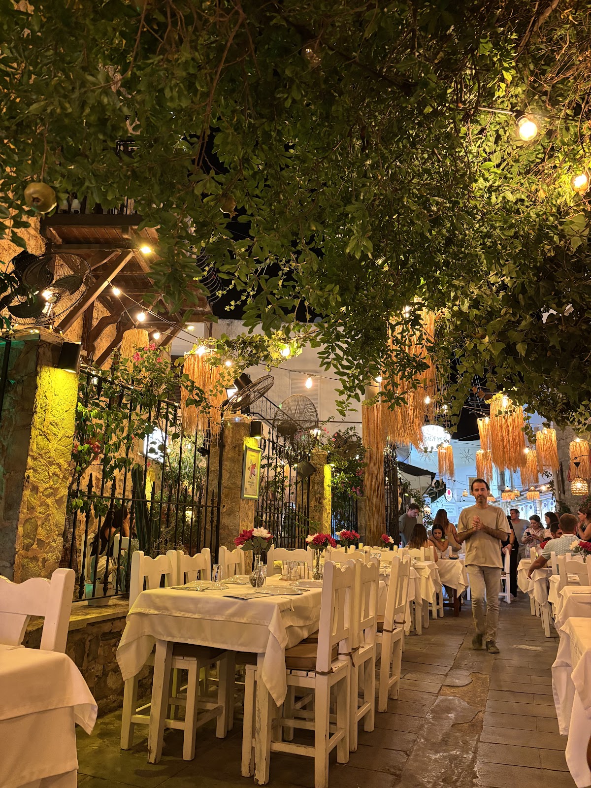 Bodrum — Ege De Maya Bodrum — gallery