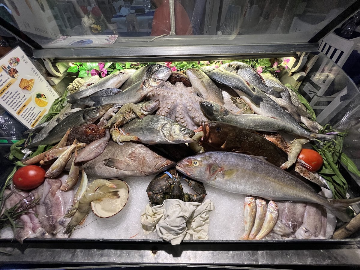 Bodrum — Deniz Restaurant — gallery