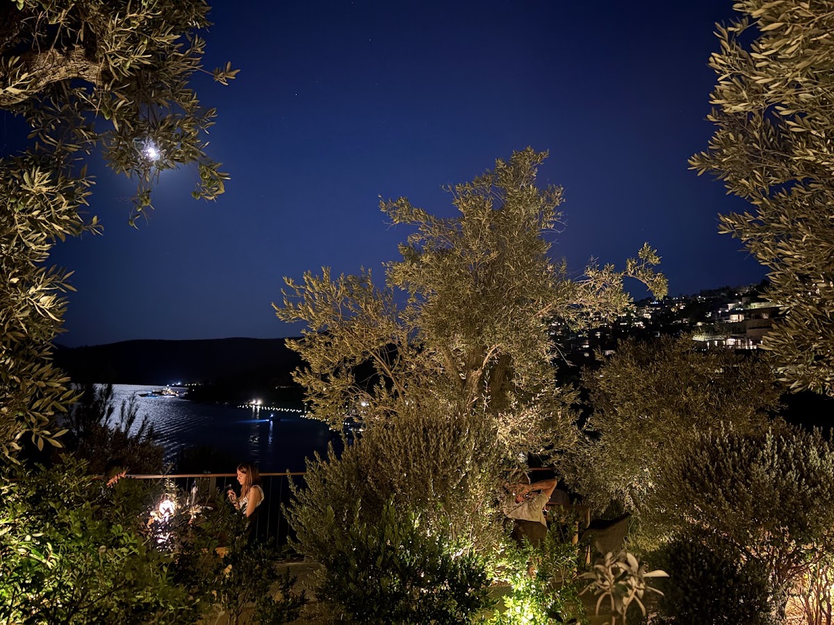 Bodrum — Loft Elia Restaurant — gallery