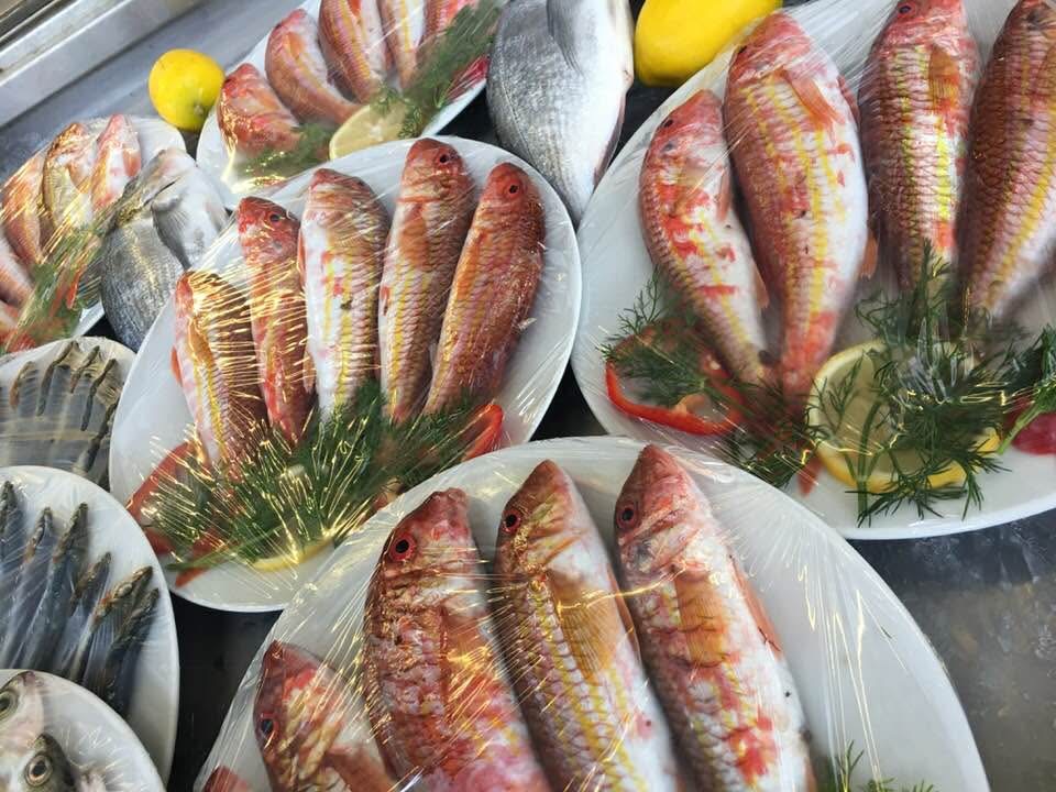 Karaburun — Denizkizi Derya Pansiyon Karaburun Pansiyon Canli Muzik Deniz Mahsulleri Restorant — gallery