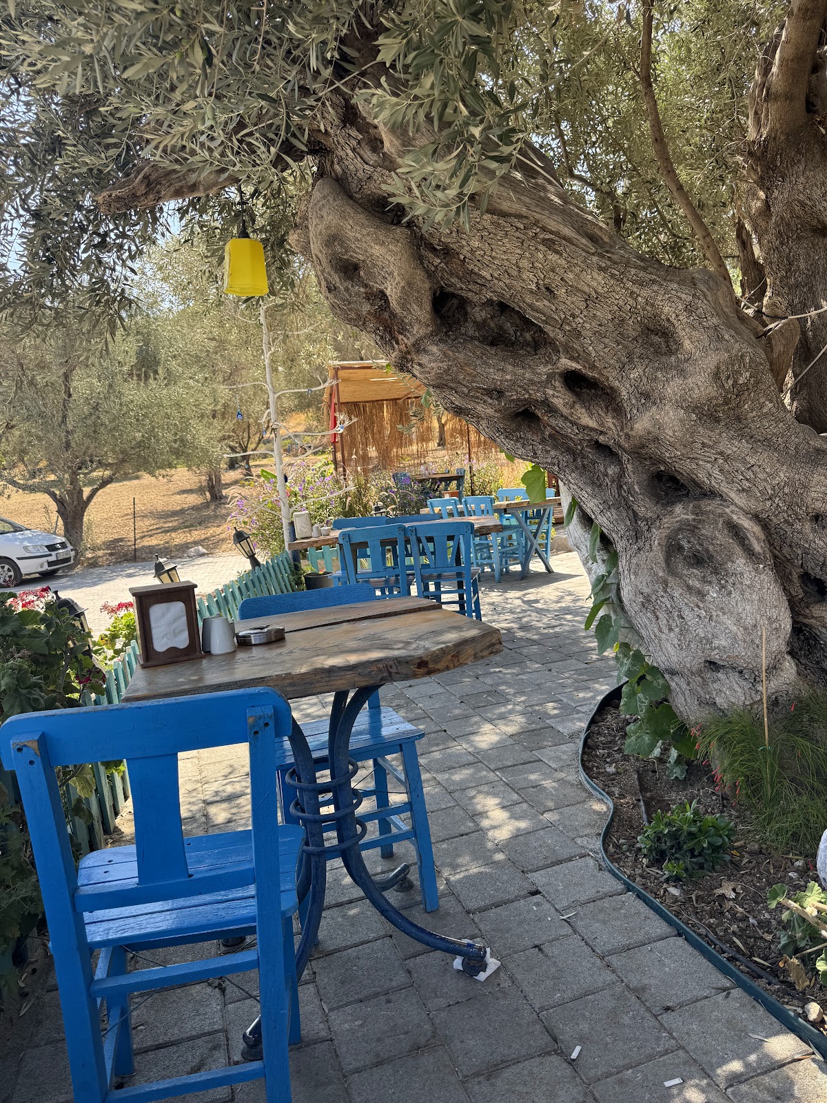 Karaburun — Karaburun Mutfak Steak House — gallery