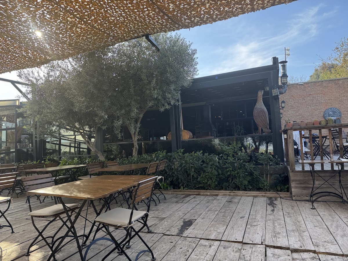 Urla — The Guru Urla — galeri
