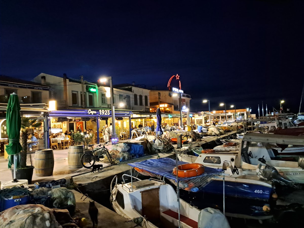 Urla — S A H I L Urla — gallery