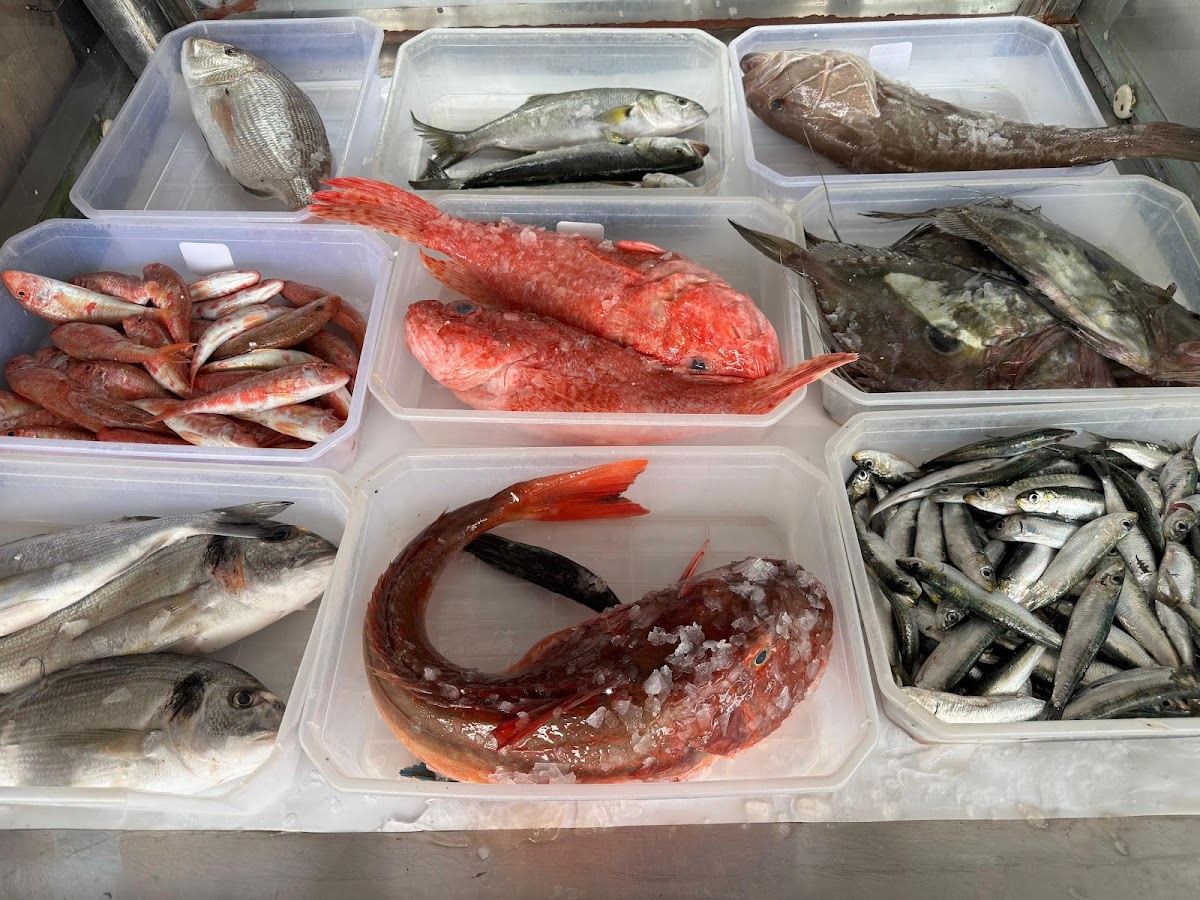 Urla — S A H I L Urla — gallery