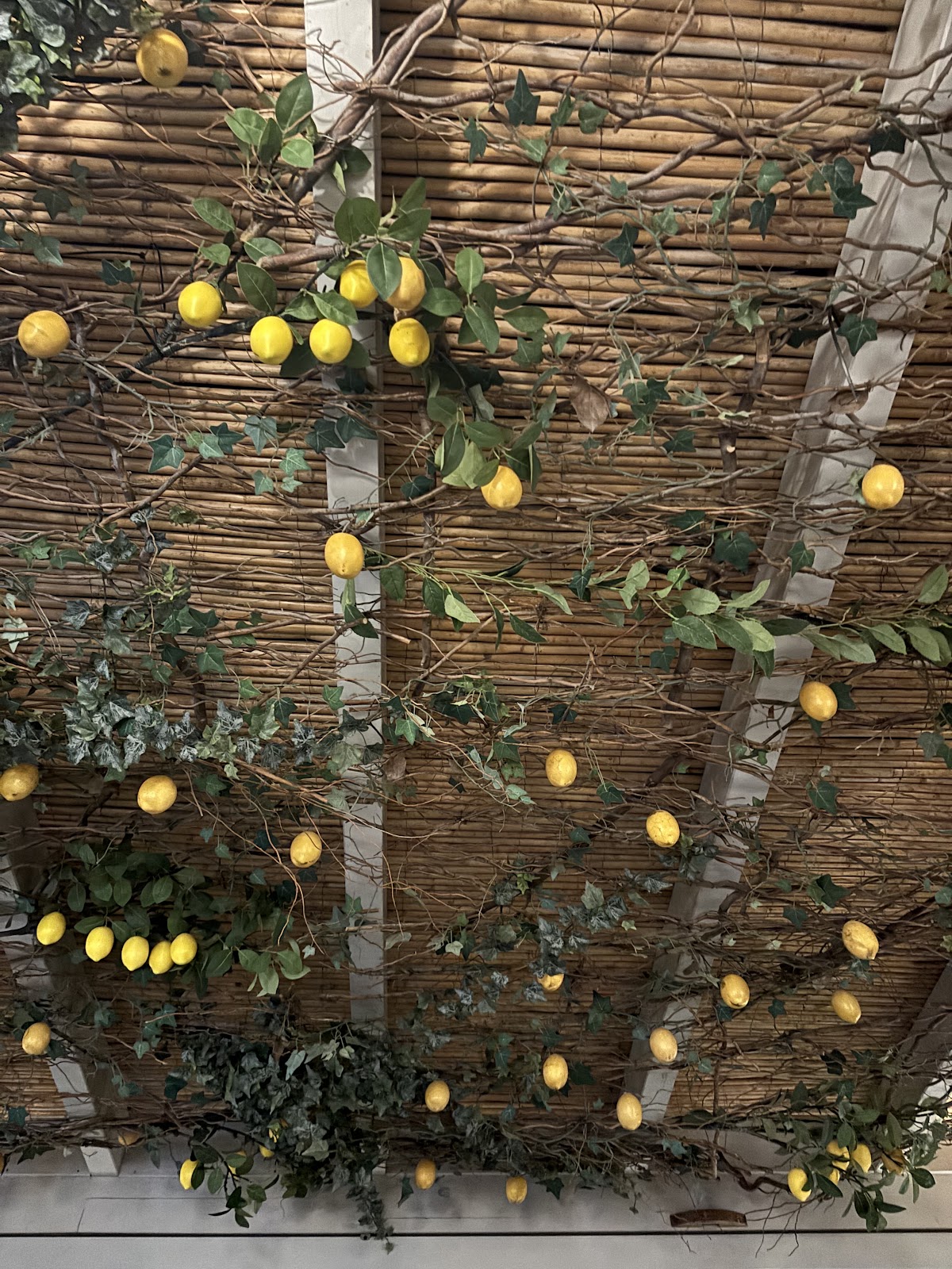Patmos — Benetos Restaurant — galeri