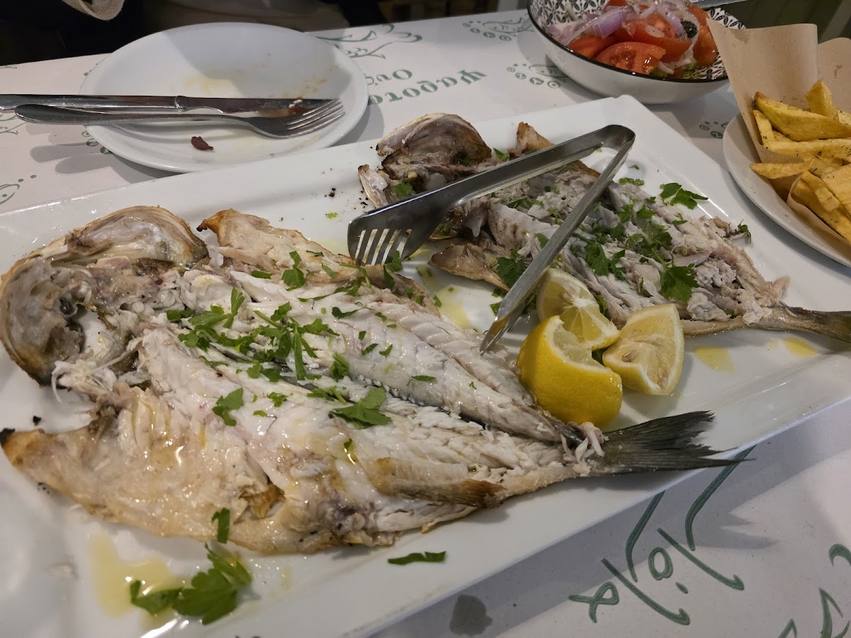 Thessaloniki — Ouzerie Lola — galeri